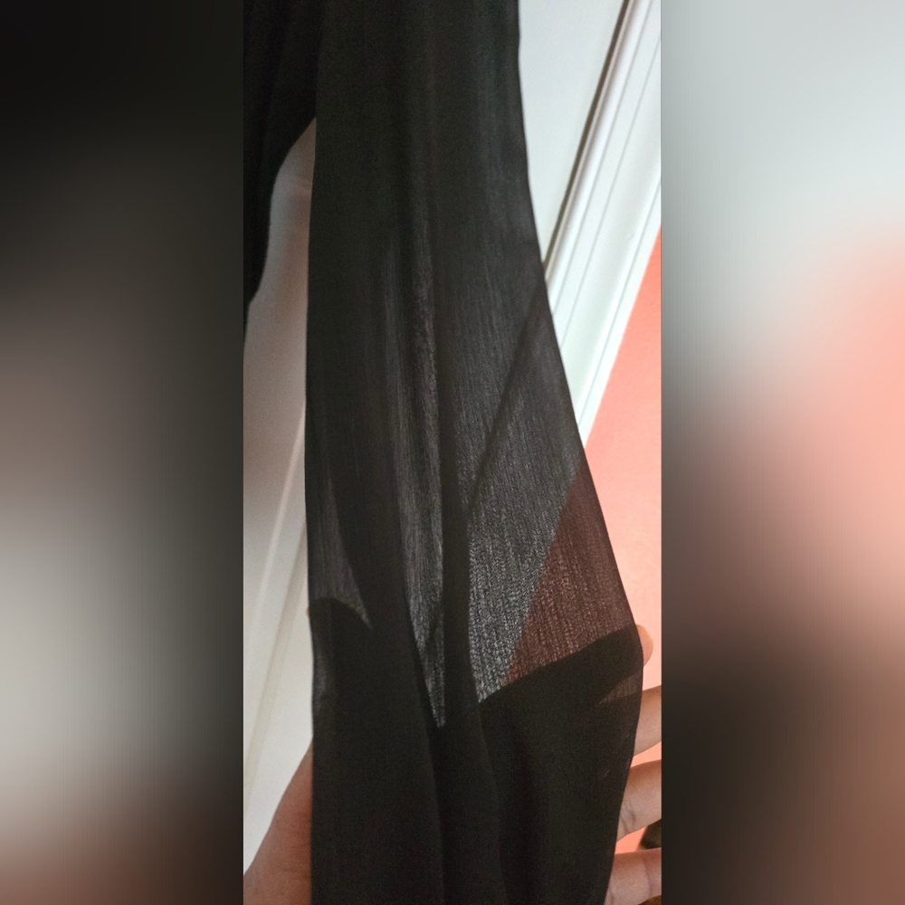 Cyrus Black Blouse v-neck with sheer long sleeve